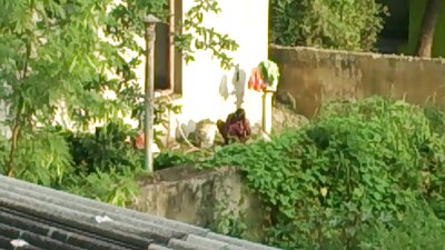 লাকি গাই তার বন্ধুদের স্ত্রীর সাথে বড় বড় বাংলা নতুন চুদা চুদি ভিডিও স্তন খেলছে